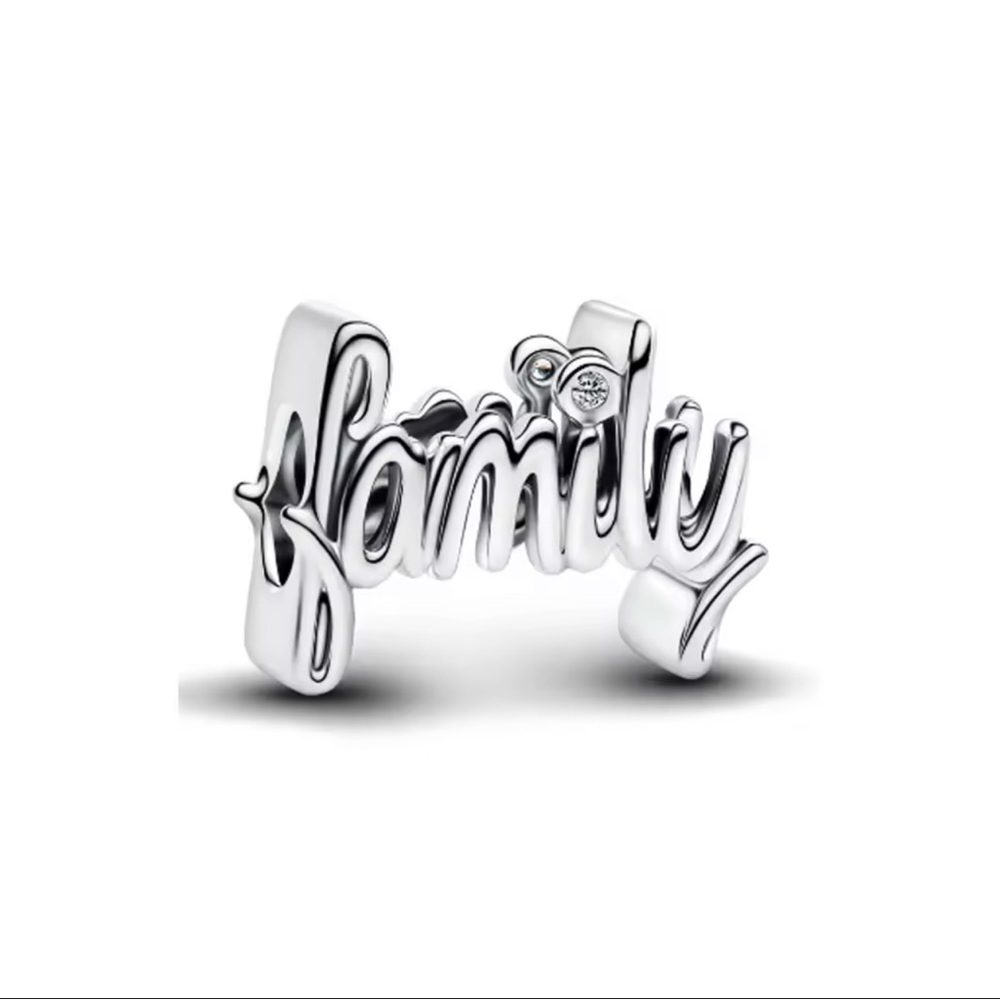 New Family Charm for Bracelet - S925